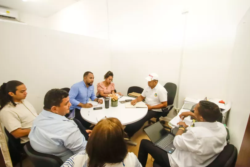 formulación